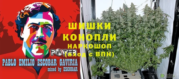 mdpv Богородск
