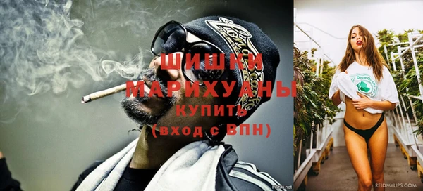 mix Туринск