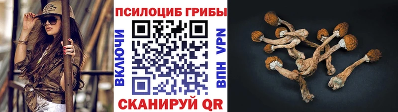 Псилоцибиновые грибы Magic Shrooms  Краснокамск 