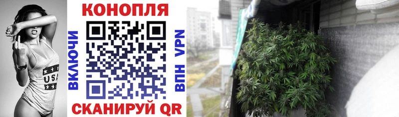 Шишки марихуана индика  Краснокамск 